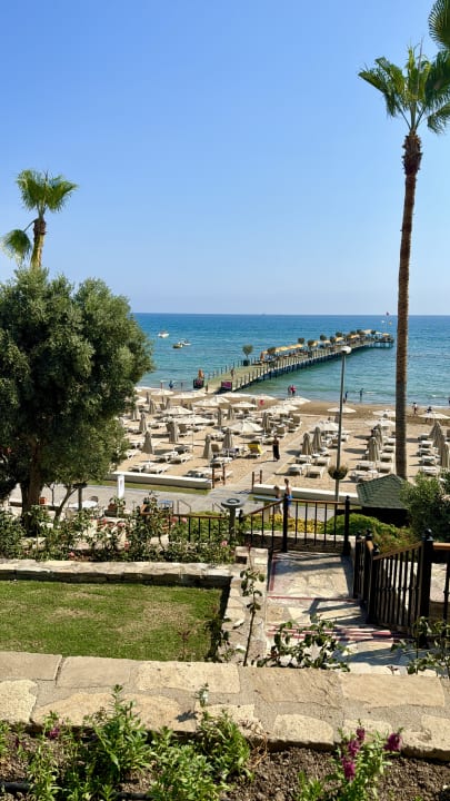 Ausblick Arum Barut Collection
