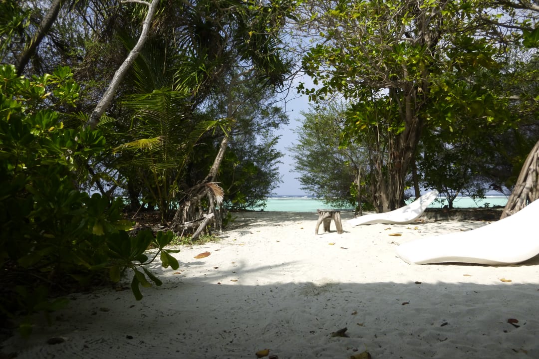 Strand Palm Beach Resort & Spa Maldives