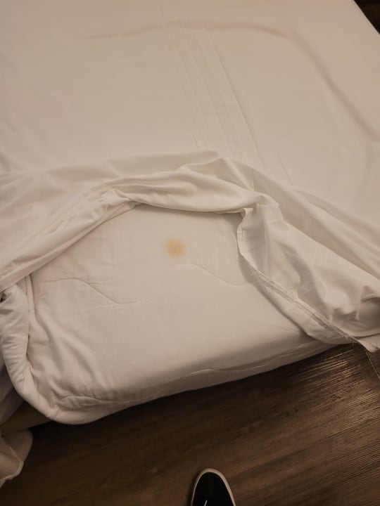 Zimmer Hotel Madeira