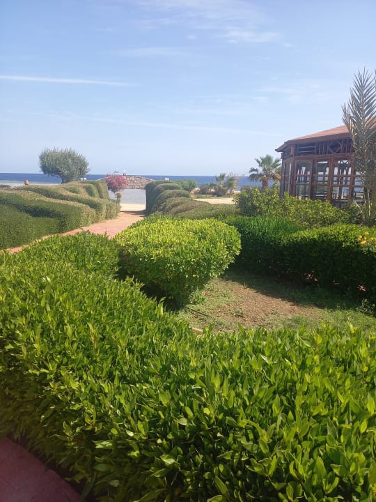 Gartenanlage Three Corners Equinox Beach Resort