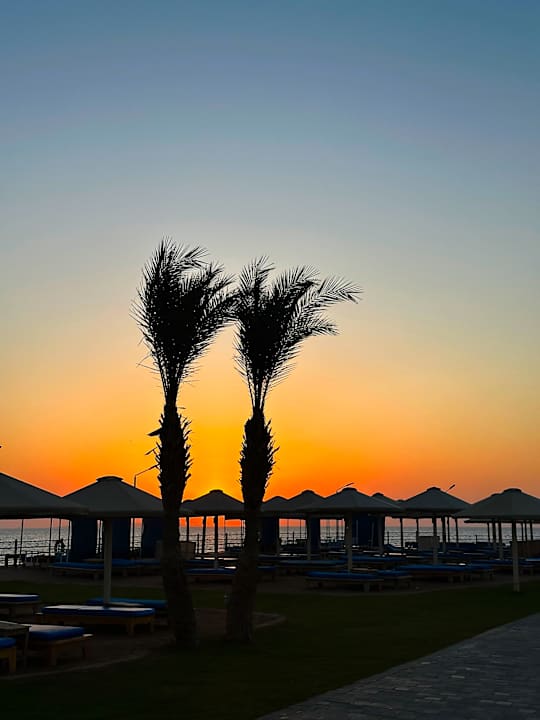 Ausblick Beach Albatros Resort