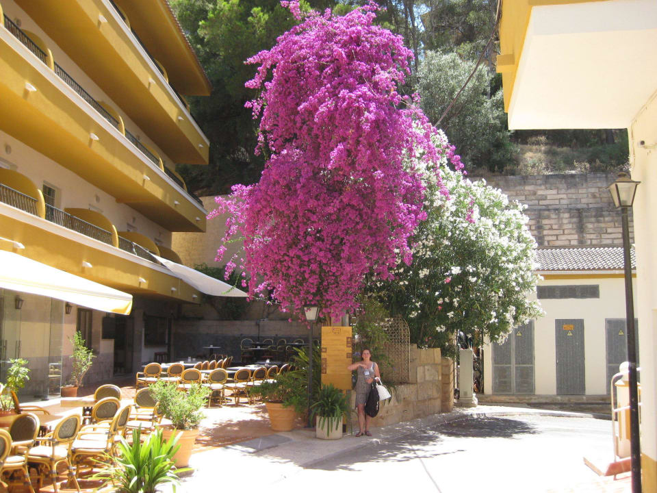 Hoteleingang FLOR los Almendros Hotel