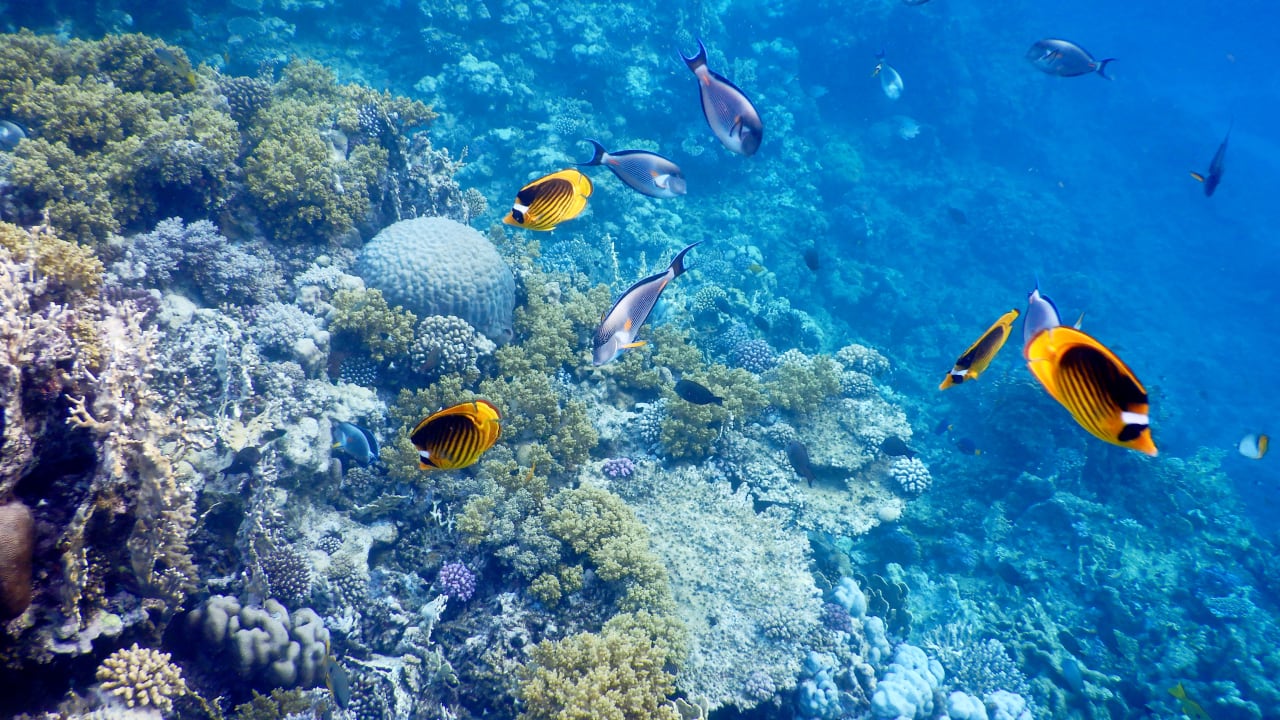 Sport & Freizeit Three Corners Equinox Beach Resort