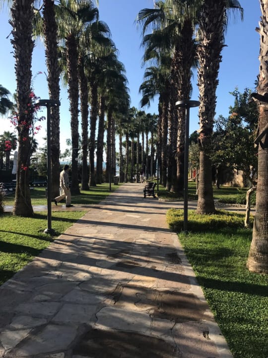 Gartenanlage Arum Barut Collection
