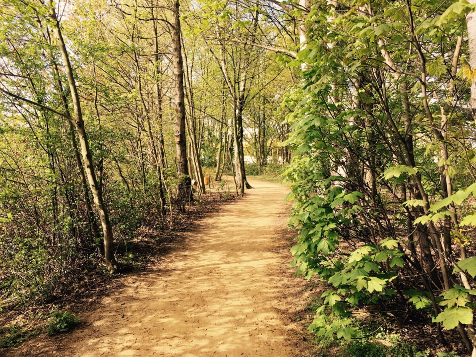 Seeweg See Park Janssen