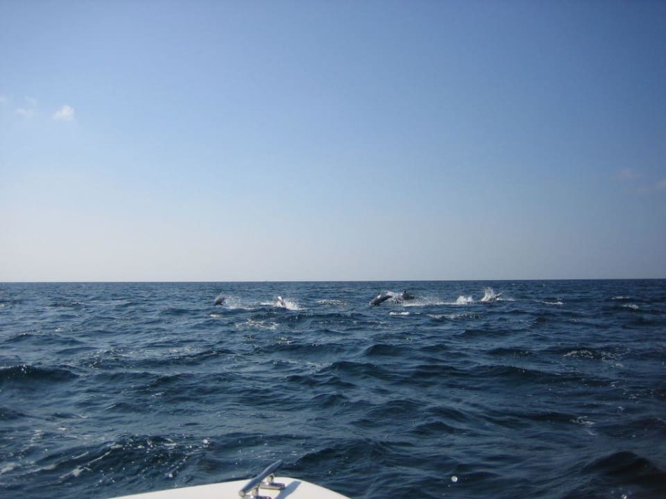 Schnorchelausflug Six Senses Kanuhura