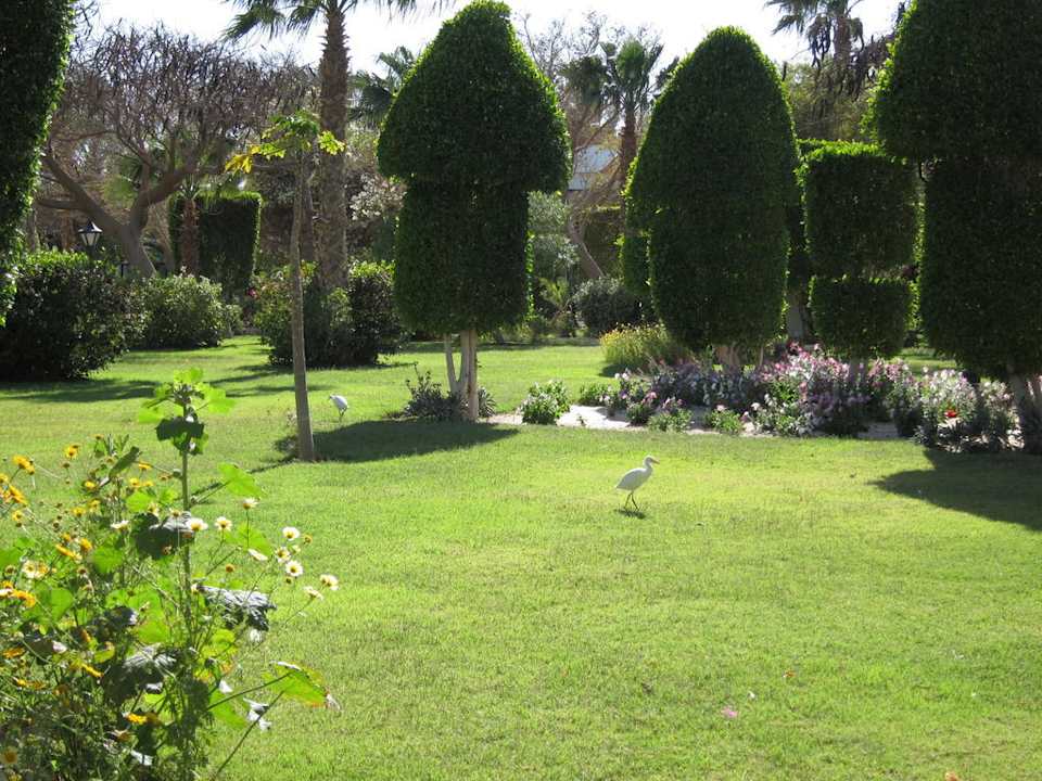 Garten The Grand Hotel Hurghada