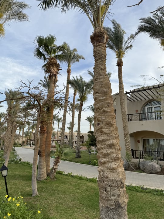 Außenansicht Steigenberger Makadi Hotel - Adults only