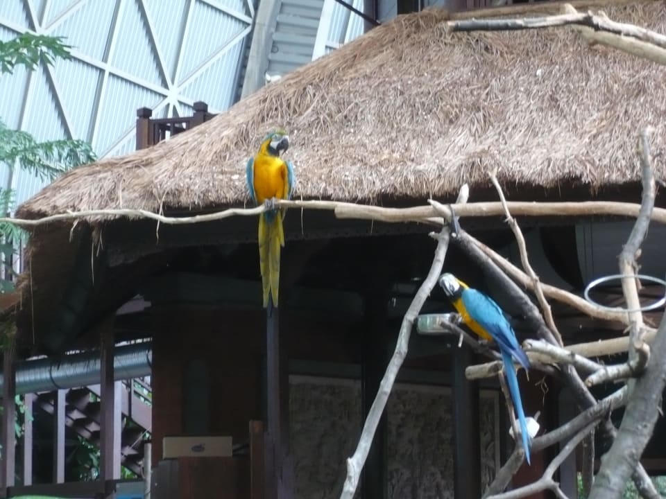 . Tropical Islands Resort