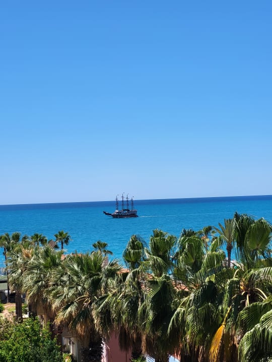 Ausblick Concordia Celes