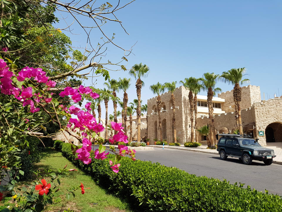 Gartenanlage Pickalbatros Citadel Resort