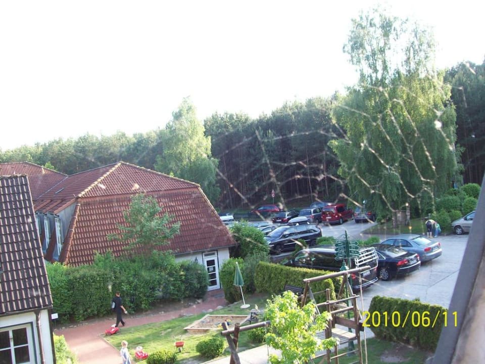 Aussicht Familotel Borchard's Rookhus am See