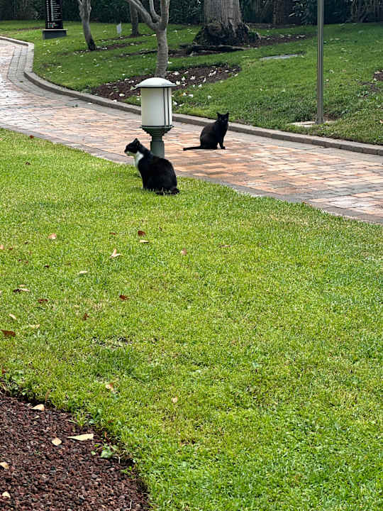 Gartenanlage Lopesan Villa del Conde Resort & Thalasso