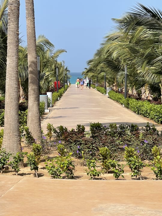 Ausblick Hotel Riu Palace Boavista