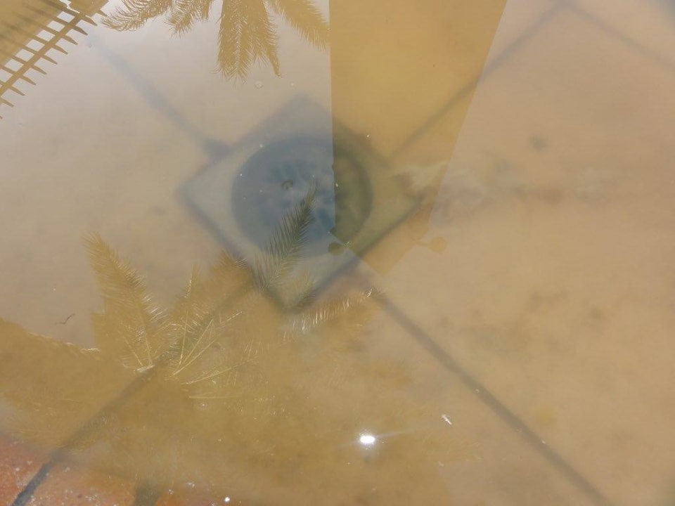 .... TUI BLUE Samaya