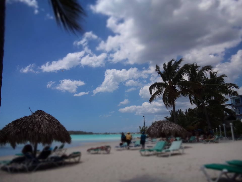 Beach whala!boca chica