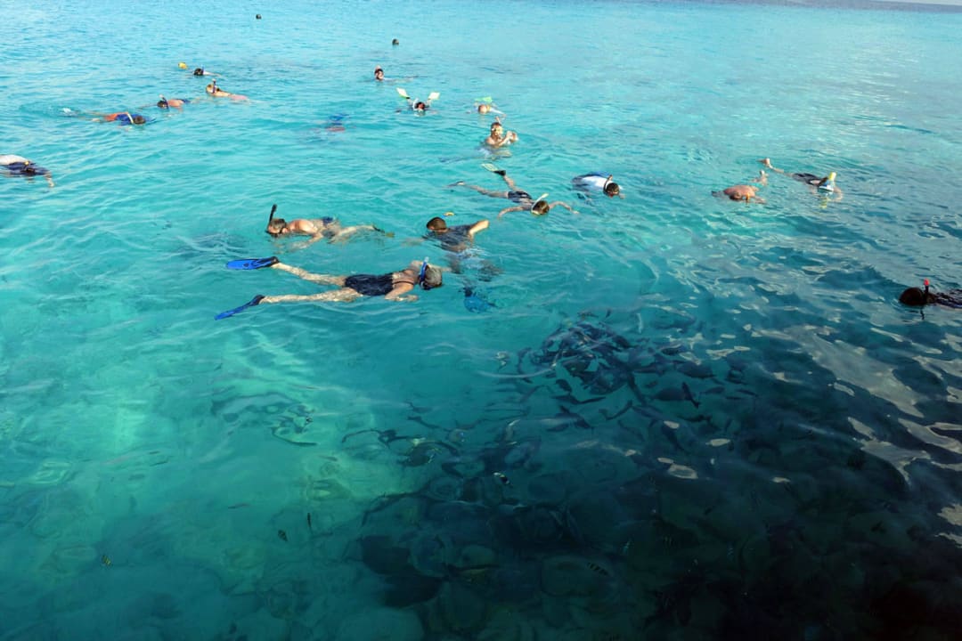 Schnorchler bei der Fischfütterung Summer Island Maldives