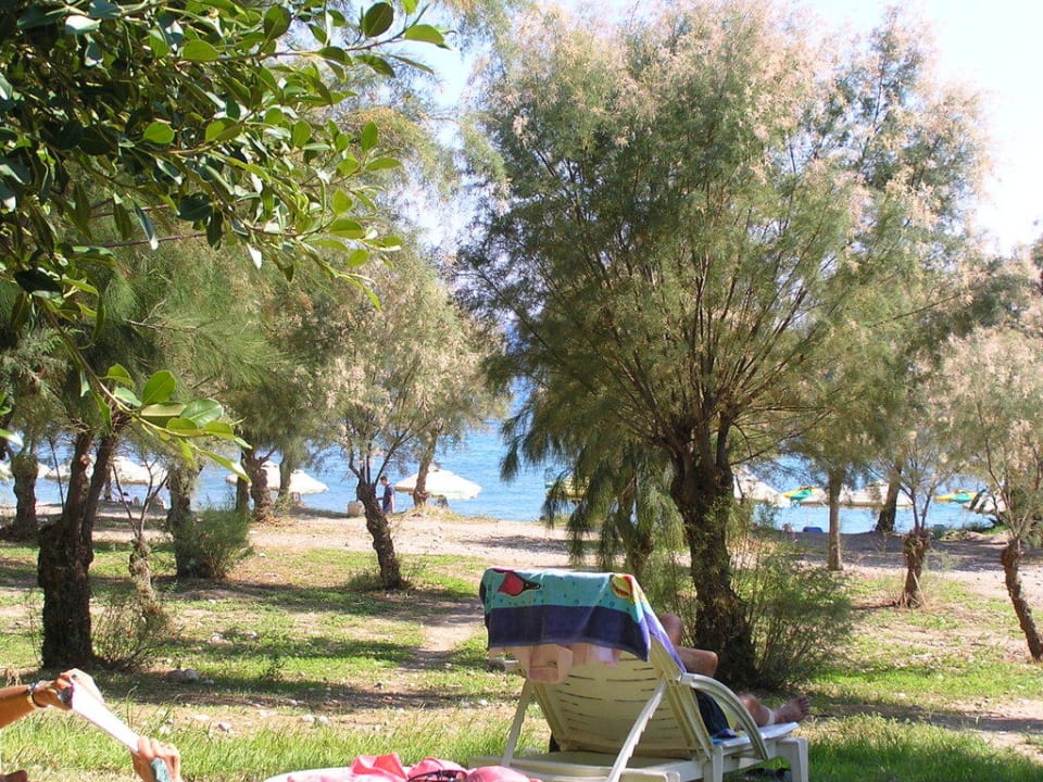 Garten und Meer Irene Palace Beach Resort Club alltoura