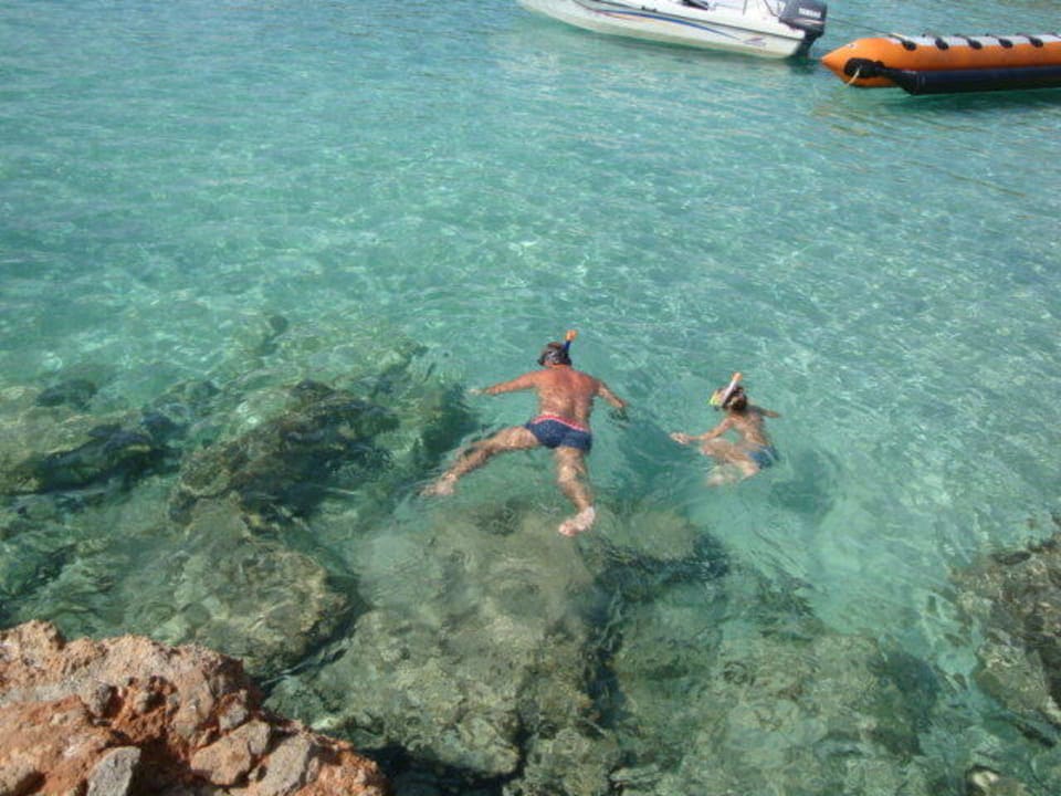 Schnorcheln Sandos El Greco Beach Hotel 16+