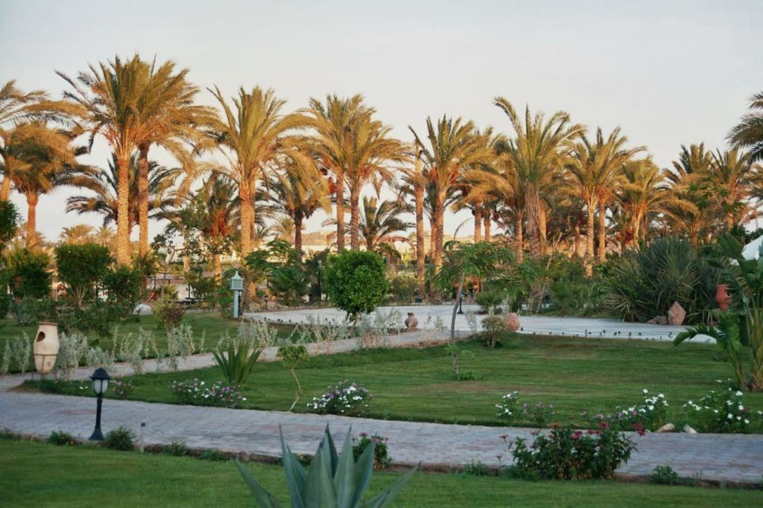 Gartenanlage... Brayka Bay Resort