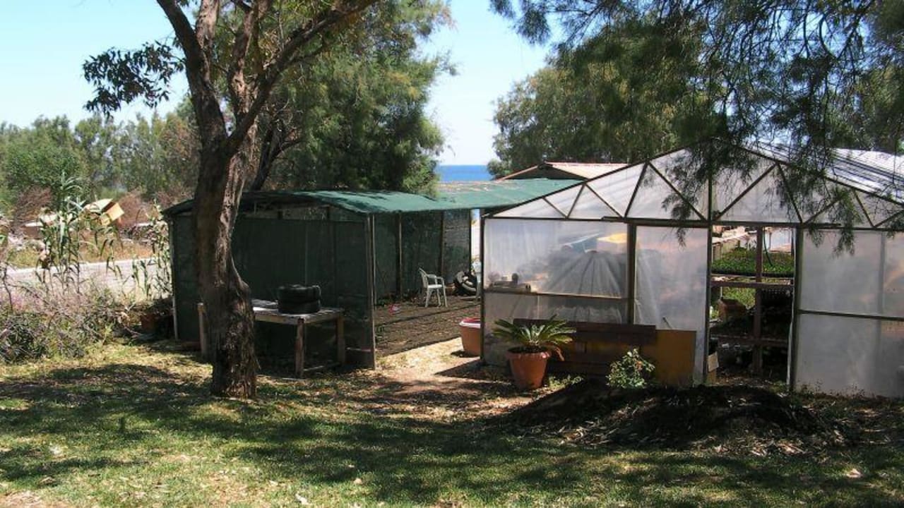 Gewächshäuser neben der Rasenliegefläche Hotel Calypso Beach