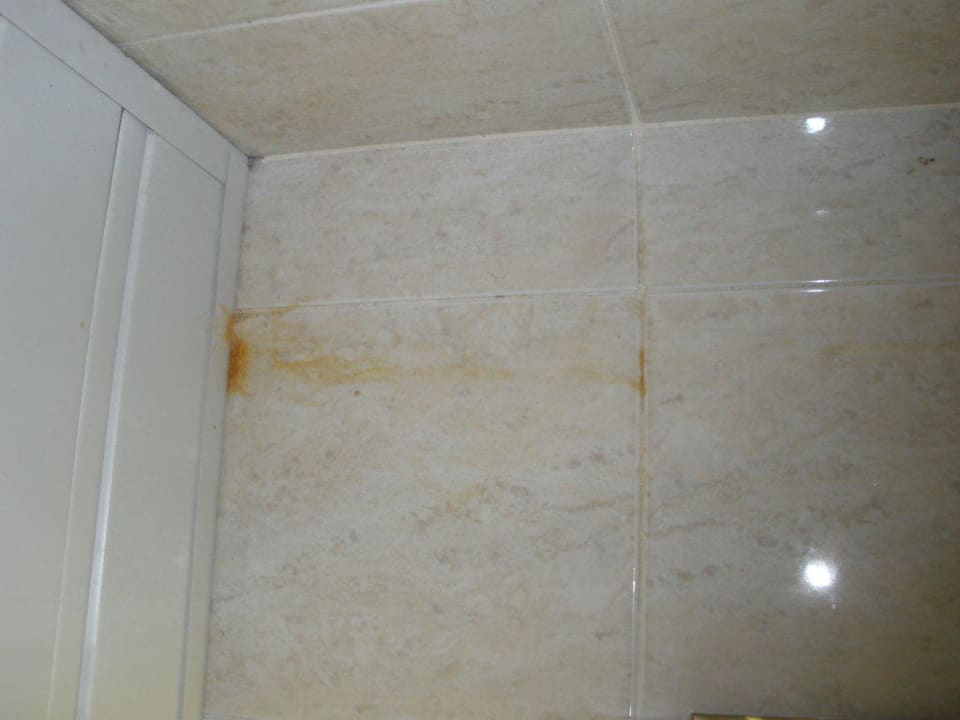 Kleine Ahnung was es ist - aber definitv ekelhaft Vantaris Luxury Beach Resort