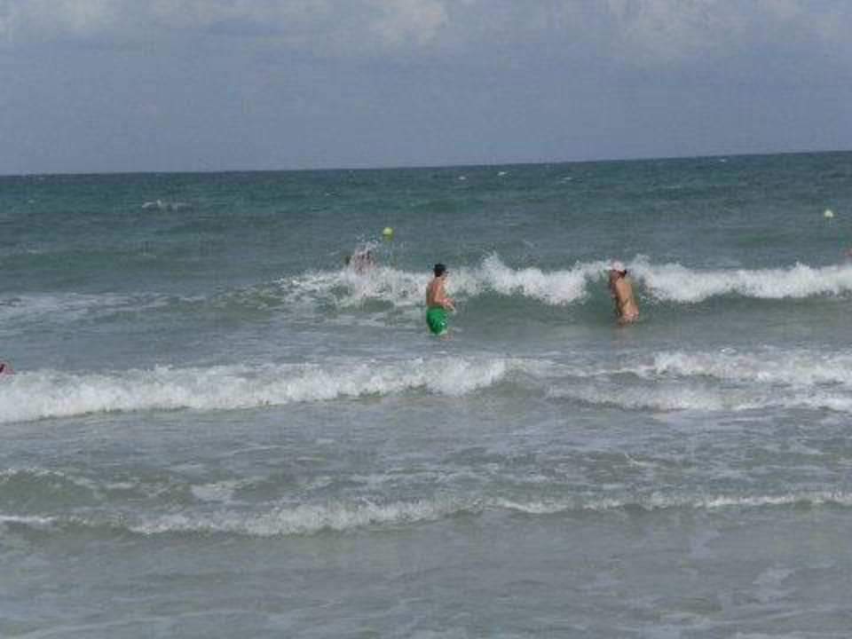 Schöner Strand Caribbean World Thalasso Djerba