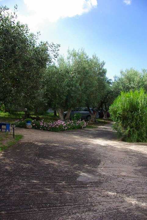 Weg zum Haus Haus des Künstlers