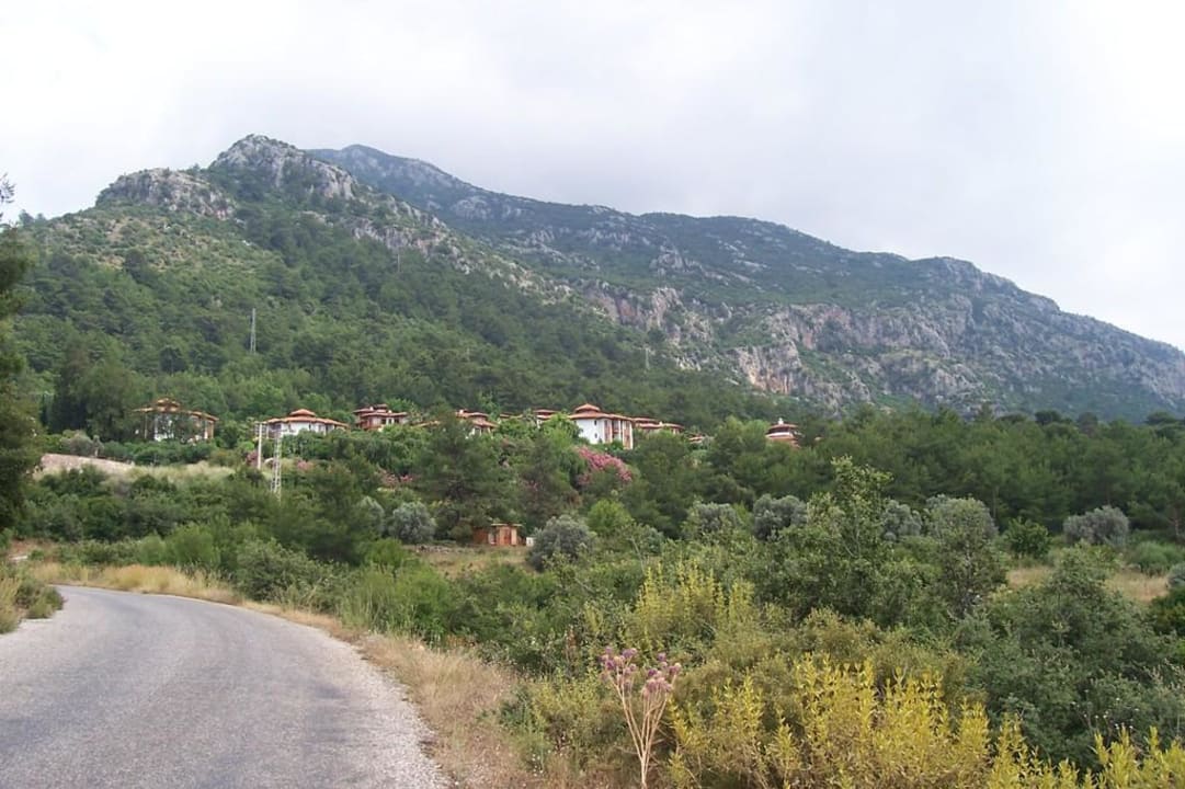 Weg zum Hotel Montana Pine Resort