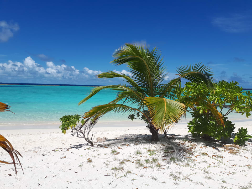 Strand Adaaran Select Meedhupparu Island Resort - Premium All Inclusive