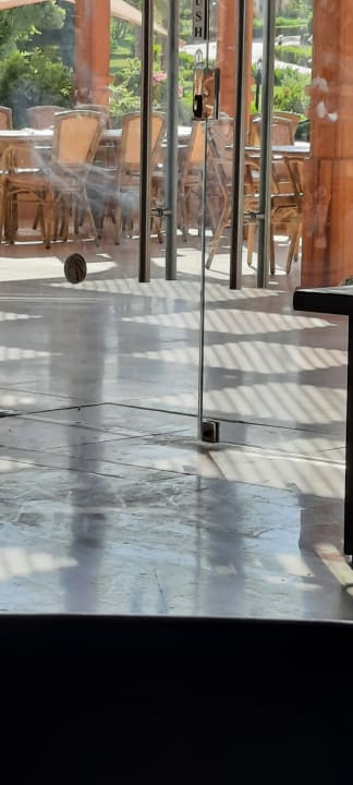 Gastro Cleopatra Luxury Resort Makadi Bay