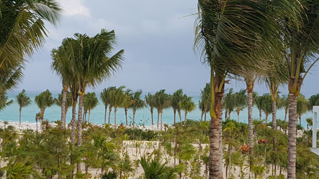 Ausblick Hotel Riu Dunamar
