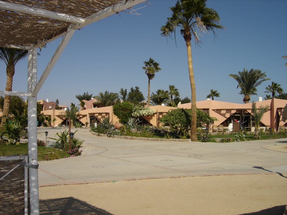 Blick auf die Bungalows! Eagles Paradise Abu Soma