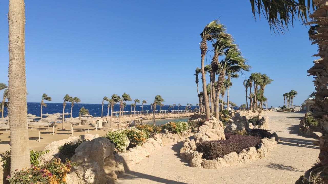 Ausblick Pickalbatros Citadel Resort