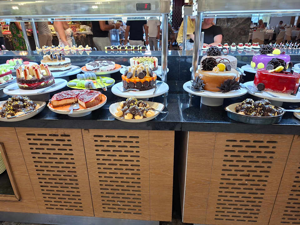 Gastro Seashell Vega