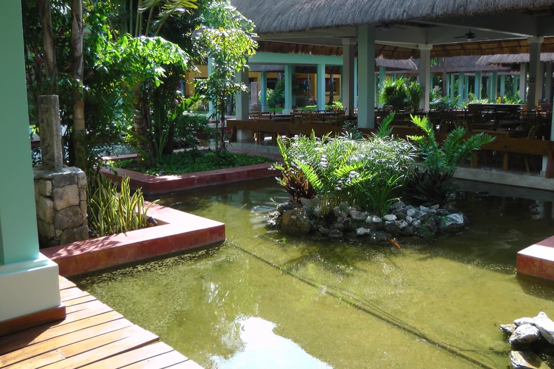 Ausblick Iberostar Waves Tucan