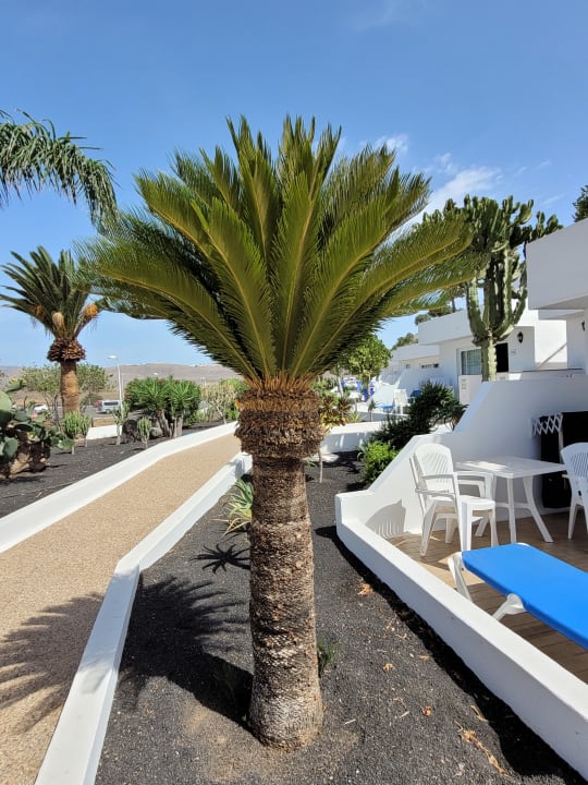 Gartenanlage Hotel Floresta