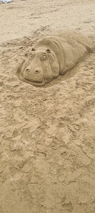 Strand PALOMA Perissia