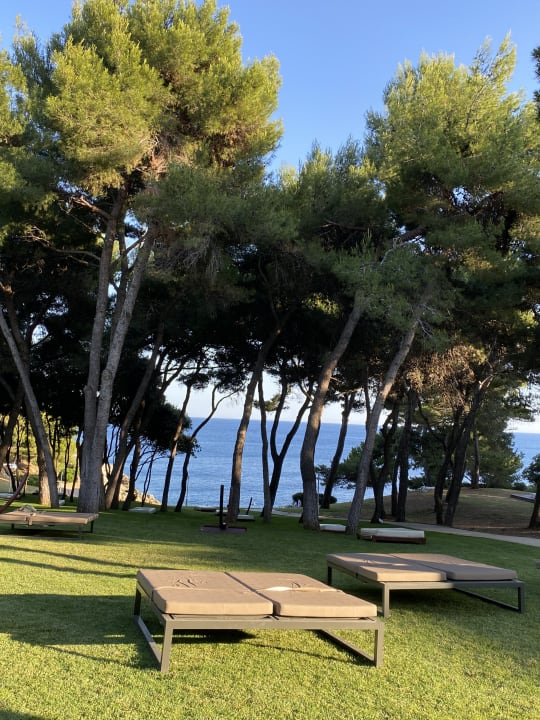 Gartenanlage Park Plaza Arena Pula