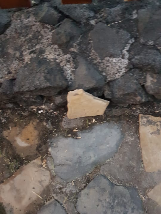 Gartenanlage Melia La Palma Hotel