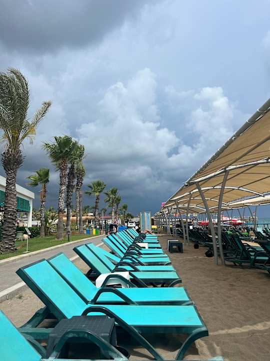 Strand Crystal Family Comfort Collection