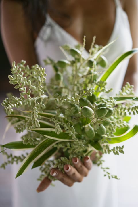 Sonstiges Raffles Seychelles