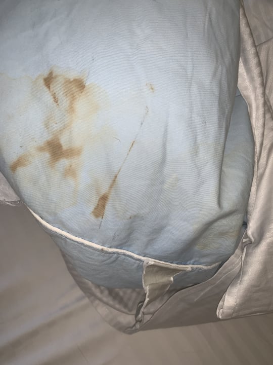 Zimmer Rugard Thermal Strandhotel