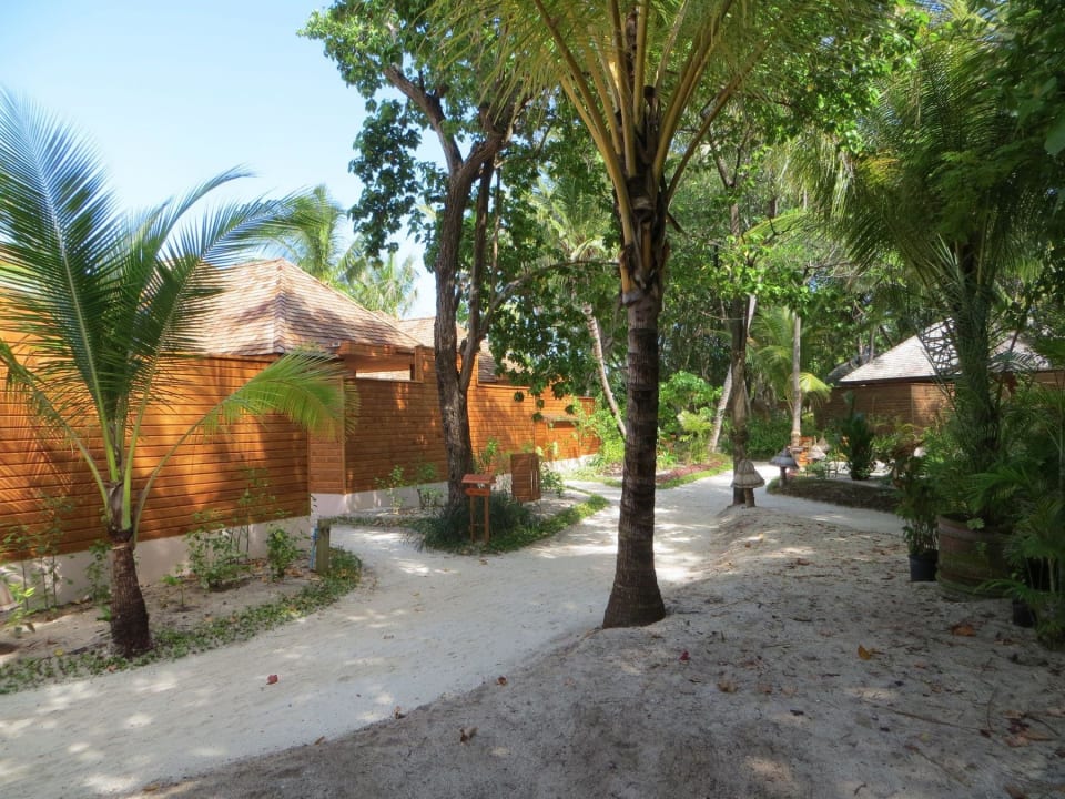 Robinson-Feeling - das war einma Veligandu Maldives Resort Island