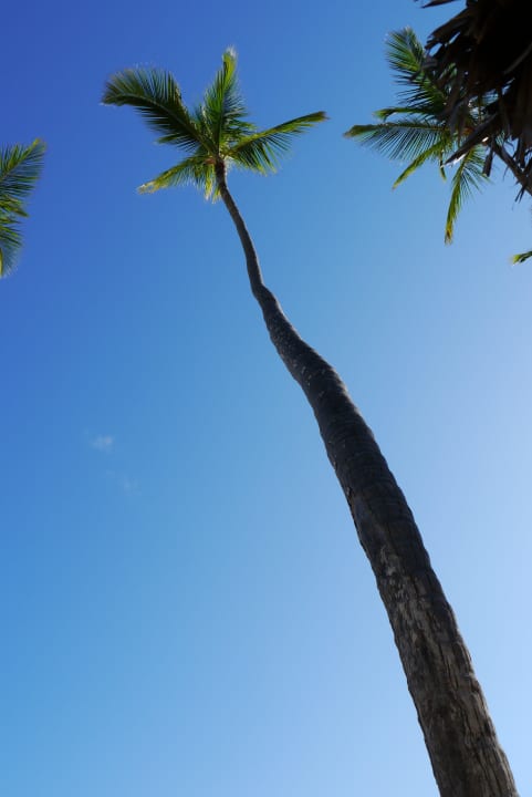 Strand Bavaro Grand Palladium Select Bávaro Resort & Spa