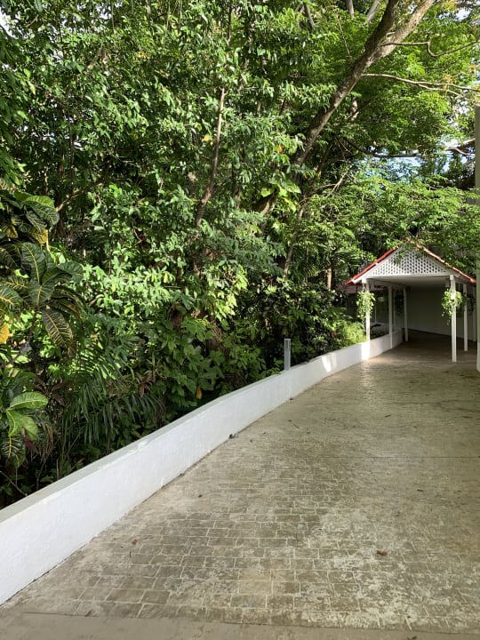 Gartenanlage Viva Heavens by Wyndham - All Inclusive Resort