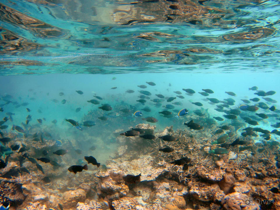 Sport & Freizeit Eri Maldives