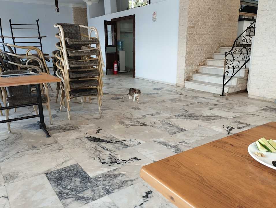 Sonstiges Dogan Paradise Beach