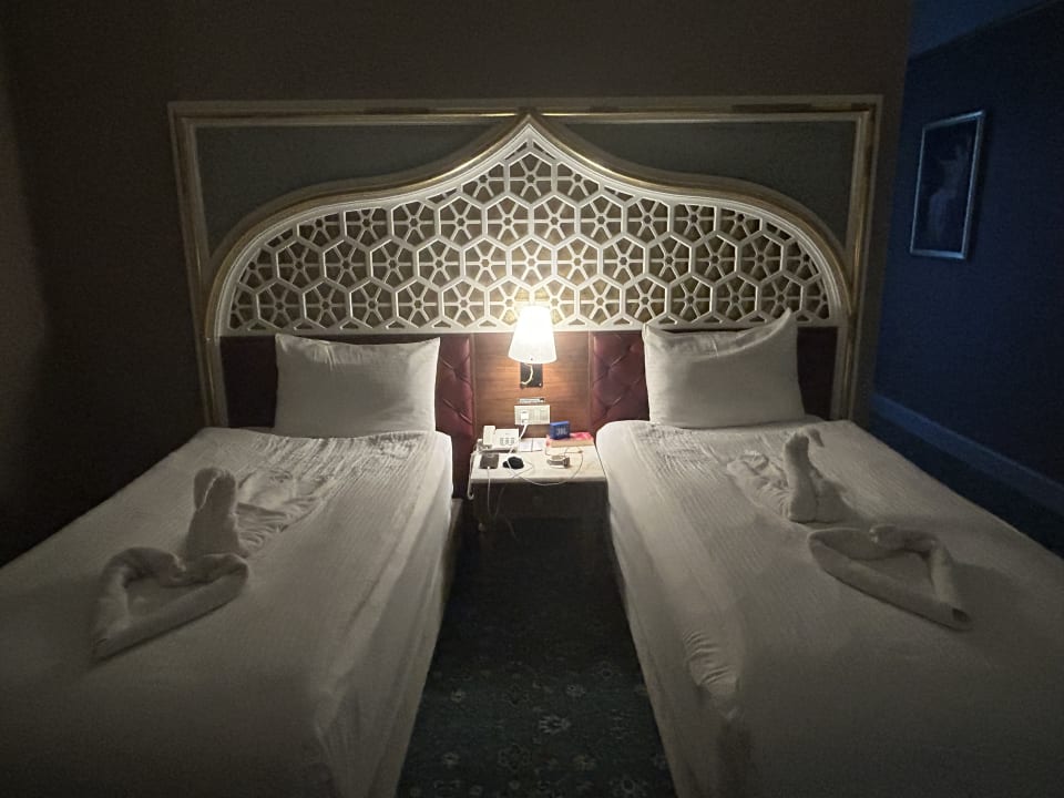 Zimmer Royal Taj Mahal Hotel