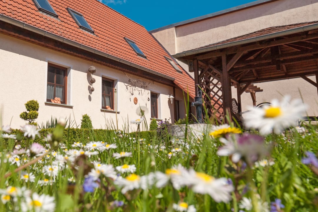 Außenansicht Apartments Vier Napoleonslinden